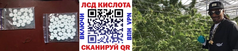 ЛСД экстази кислота  закладка  Майкоп 