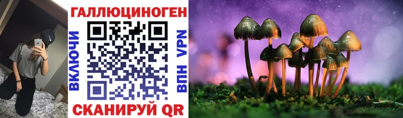 продажа наркотиков  Майкоп  Псилоцибиновые грибы Magic Shrooms 